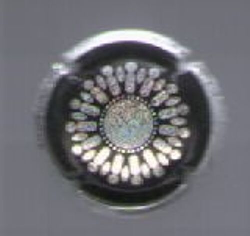 Capsule Champagne Générique Pailletée Irisée Fleur En Épis