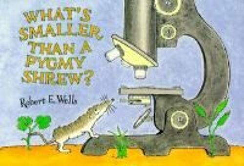 What's Smaller Than A Pygmy Shrew?
