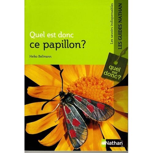 Quel Est Donc Ce Papillon ?