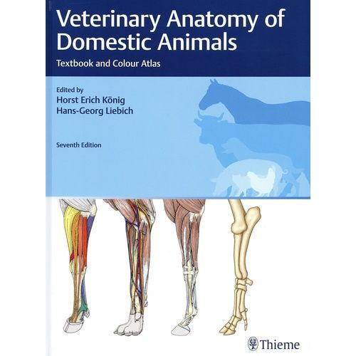Veterinary Anatomy Of Domestic Animals