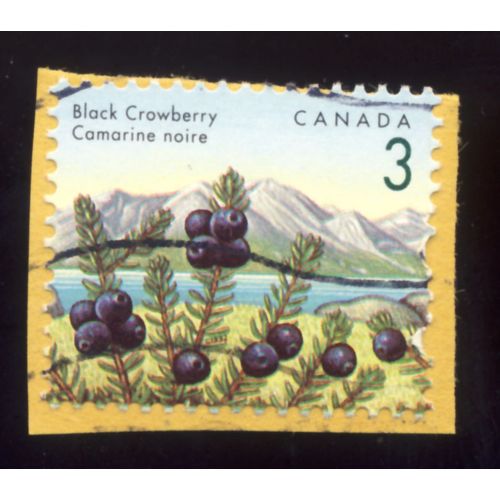 Timbre Canada, Black Crowberry, Camarine Noire, Canada 3 Cents Oblitéré