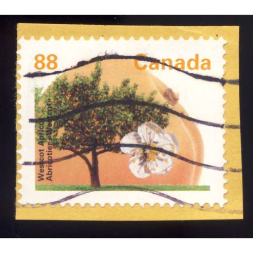 Timbre Canada, Westcot Apricot, Abricot Westcot, Canada 0,88 Cents Oblitéré