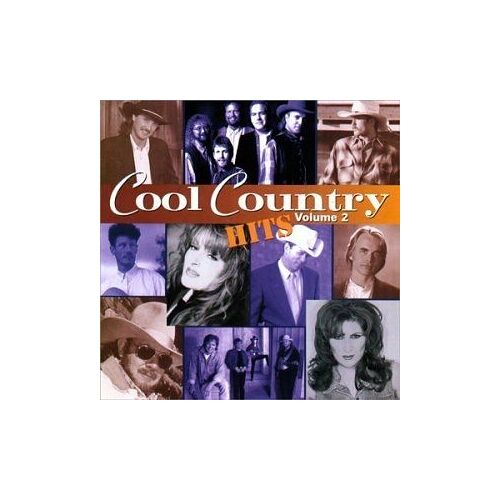 Cool Country Hits, Vol. 2