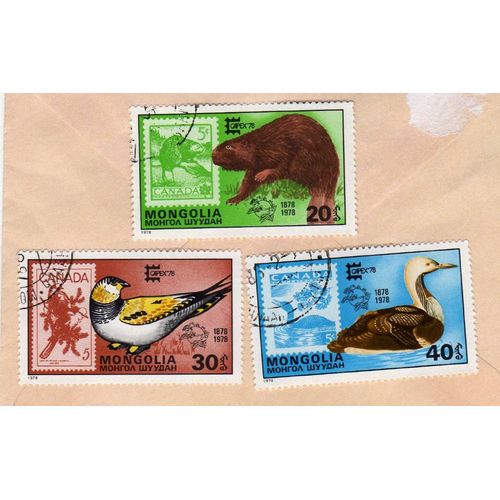 Lot De 3 Timbres Mongolia Mongolie Faune 1978