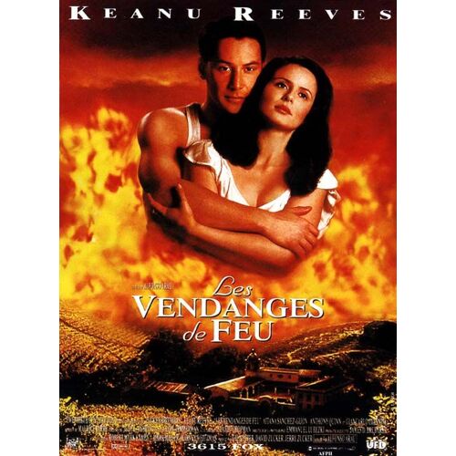 Les Vendanges De Feu (A Walk In The Clouds) - Véritable Affiche De Cinéma Pliée - Format 40x60 Cm - De Alfonso Arau Avec Keanu Reeves, Aitana Sánchez-Gijón, Anthony Quinn, Debra Messing - 1995