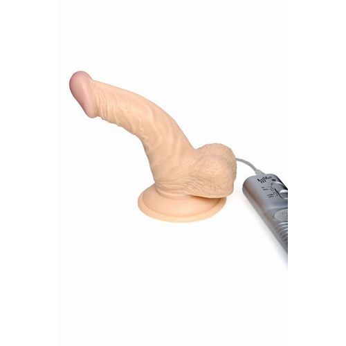Gode Réaliste : Gode Réaliste Majestic Curve Vibrating 5p Sex Toy