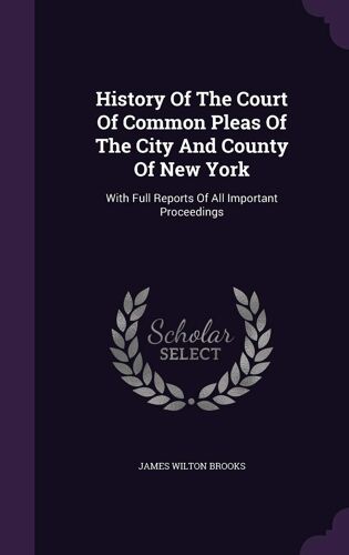 History Of The Court Of Common Pleas Of The City And County Of New York: With Full Reports Of All Important Proceedings