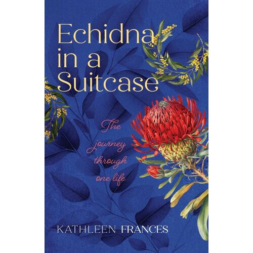 Echidna In A Suitcase