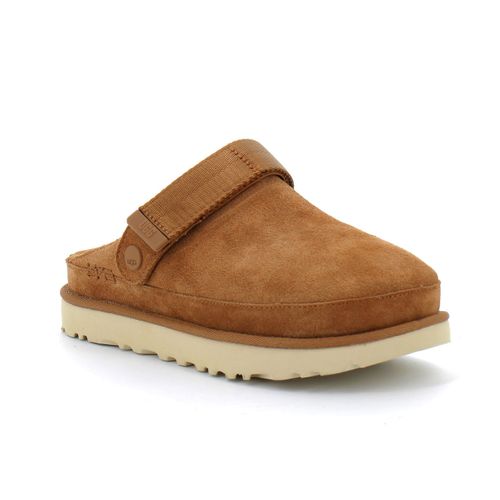 Ugg Sabot Goldenstar Marron