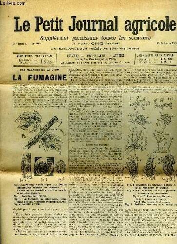Le Petit Journal Agricole N° 565 - Les Vignes : La Fumagine (Fig.)- ¿ Le Marc De Raisin. Les Champs : Les Blés À Grands Rendements À La Ferme Expérimentale D¿Avrillé, En 1906. ¿ Le Fourrage. ...