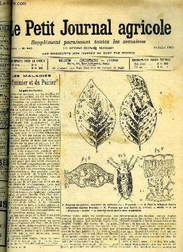 Le Petit Journal Agricole N° 550 - Petites Cultures : Les Maladies Du Pommier Et Du Poirier (Flg.)- ¿ La Germandrée Petit-Chêne. ¿ De La Multiplication Des Plantes Vivaces Bulbeuses. Les ...