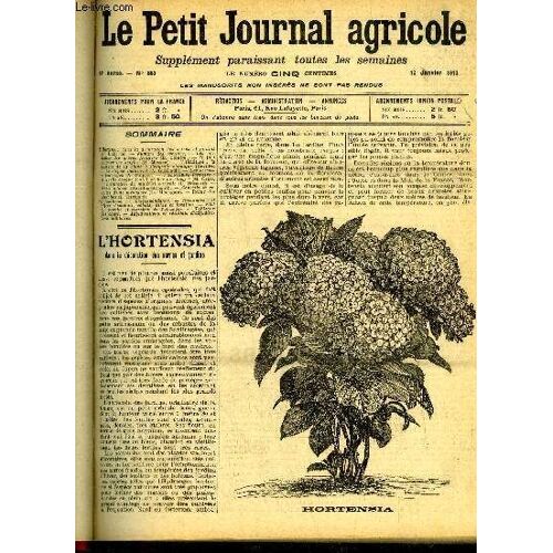 Le Petit Journal Agricole N° 889 - L'hortensia Dans La Décoration Des Serres Et Jardins (P. Laborde). ¿ Fumure Des Oseraies. ¿ Les Maladies Des Arbres Fruitiers (B. Cointre).¿ Il Faut ...