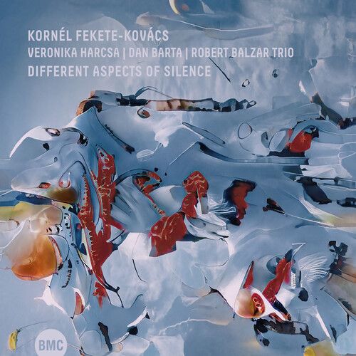 Kovacs,Kornel Fekete / Harcsa,Veronika - Different Aspects Of Silence [Compact Discs]