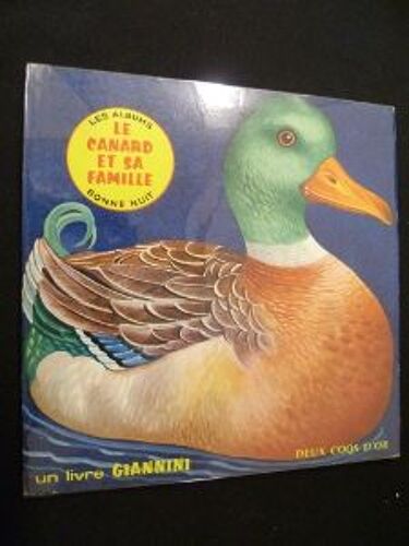 Le Canard Et Sa Famille