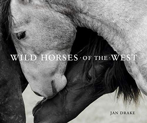 Wild Horses Of The West