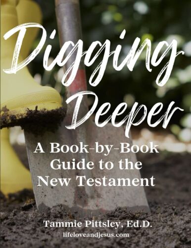 Digging Deeper: A Book-By-Book Guide To The New Testament