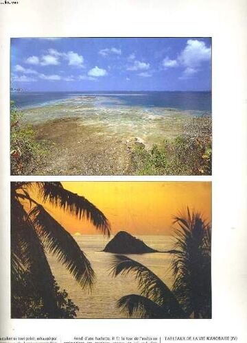 Mayotte, L'île Aux Parfums. 15 Planches De Photos Dans Une Boîte + Doubles Pages De Texte Et Photos