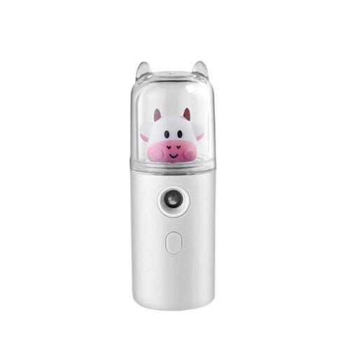Mini Pulvérisateur Pour Le Visage, Rechargeable Par Usb, Rechargeable, Nébuliseur, Vapeur, Soins De La Peau, Outil De Beauté 