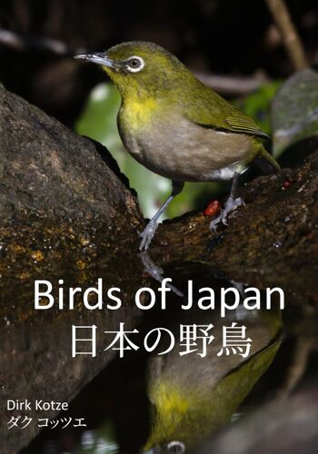 Birds Of Japan