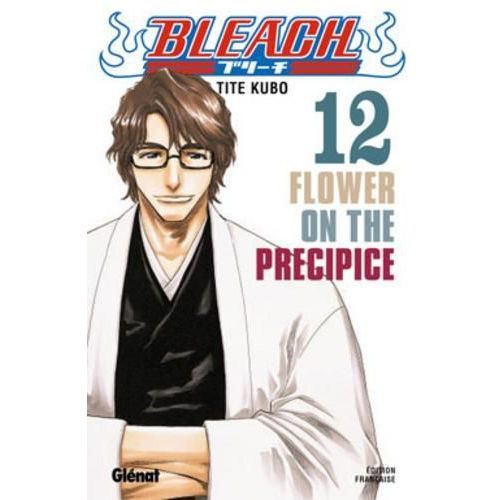 Bleach - Tome 12 : Lower On The Precipice