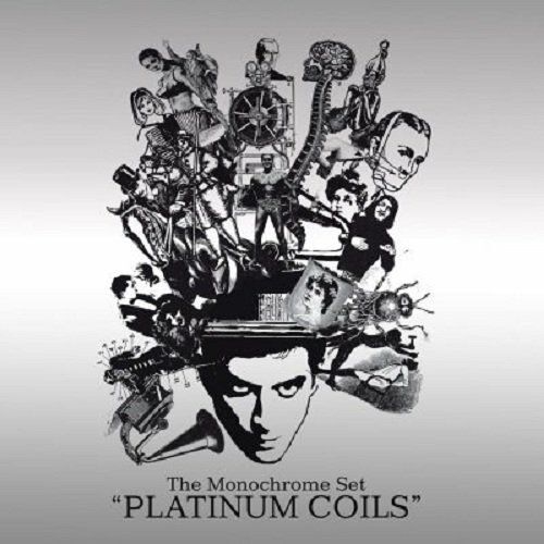 Platinum Coils