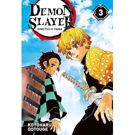 Demon Slayer - Tome 3