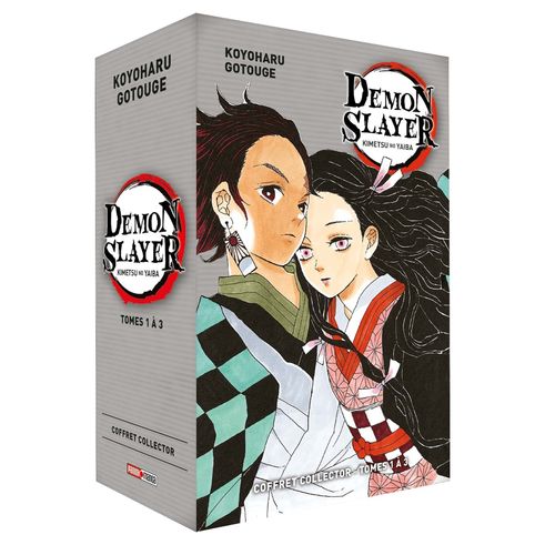Demon Slayer - Coffret Collector (2021) - Tome 1