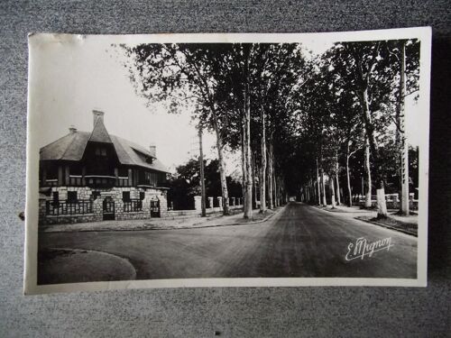 Carte Postale Écrite En 1950.2598 Melun Parc De L'hermitage Avenue De Fontainebleau