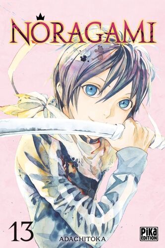 Noragami - Tome 13