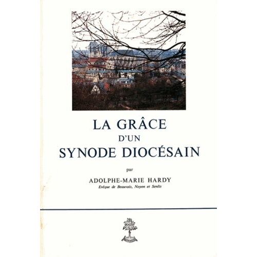 La Grace D'un Synode Diocesain