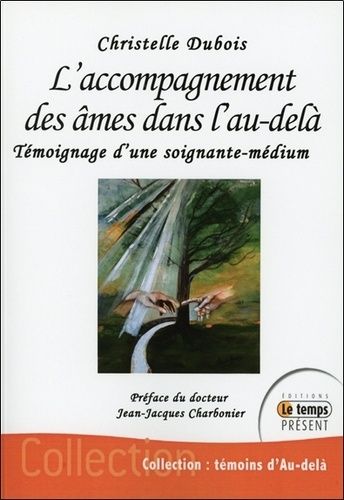 L'accompagnement Des Âmes Dans L'au-Delà - Témoignage D'une Soignante-Médium