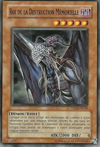 Roi De La Destruction Mémorielle