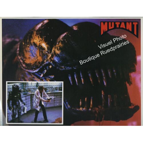 Mutant - Forbidden World : Jeu De Photos D'exploitation Cinématographique - Format 22,5x28,5 Cm - De Allan Holzman Avec Jesse Vint, June Chadwick, Dawn Dunlap, Linden Chiles - 1982
