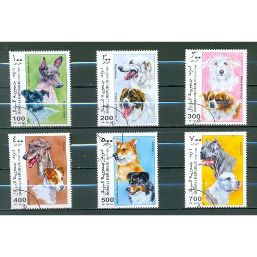 Somalie - Chiens - 1999 (1).