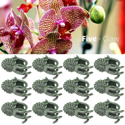 Pinces orchidées vert foncé à 5 griffes 20-50 pièces fixation de Support de jardin pince en plastique greffage tige de vigne grimpante croissance verticale