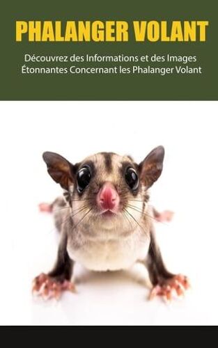 Phalanger Volant: Découvrez Des Informations Et Des Images Étonnantes Concernant Les Phalanger Volant