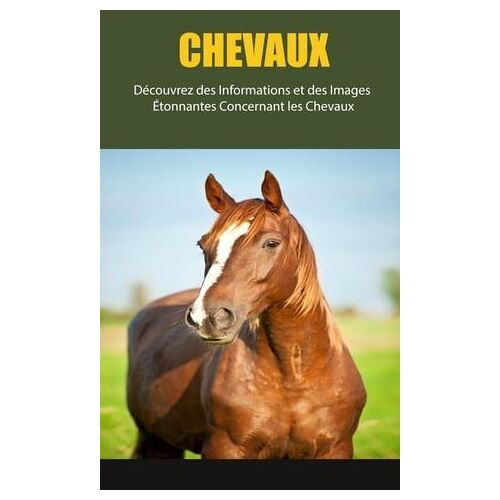 Chevaux: Découvrez Des Informations Et Des Images Étonnantes Concernant Les Chevaux