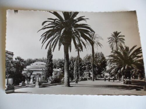 83 - Hyeres - Avenue De Belgique ,  Circulée 1955