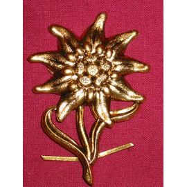 Insigne Édelweis