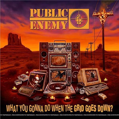 What You Gonna Do When The Grid Goes Down? - Vinyle 33t