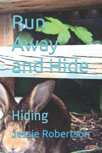 Run Away And Hide: Hiding