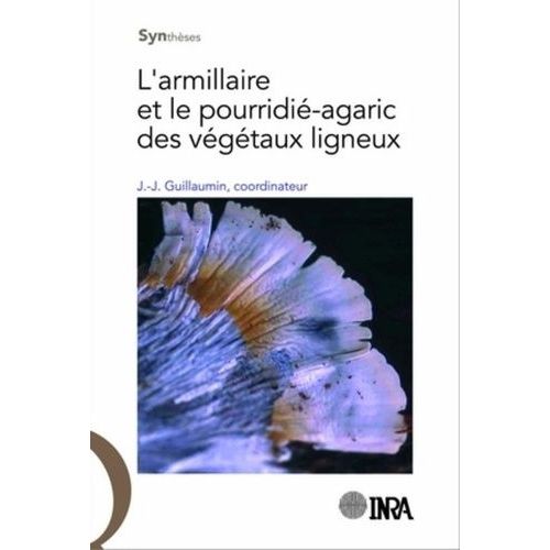 L'armillaire Et Le Pourridié-Agaric Des Végétaux Ligneux