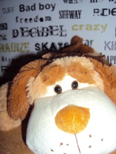 Superbe Chien Allongé, Très Doux