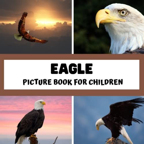 Picture Book For Children - Eagle: Discovering Eagles In Pictures - Children 2 To 5 Years Old