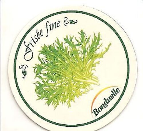 Magnet Bonduelle La Frisée Fine