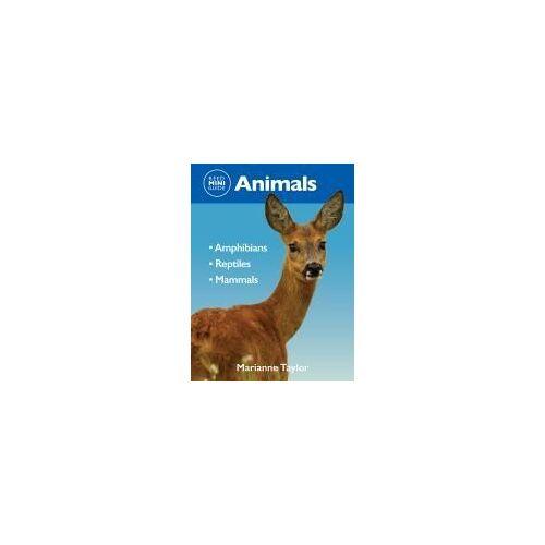 Reed Mini Guide: Animals