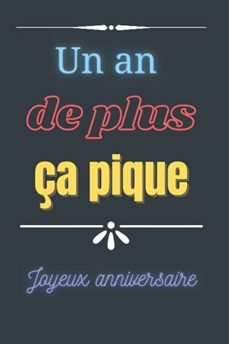 Un An De Plus, Ça Pique: Carnet De Notes Humoristique, Cadeau Original Pour Souhaiter Un Bon Anniversaire, Mixte. 100 Pages. (French Edition)