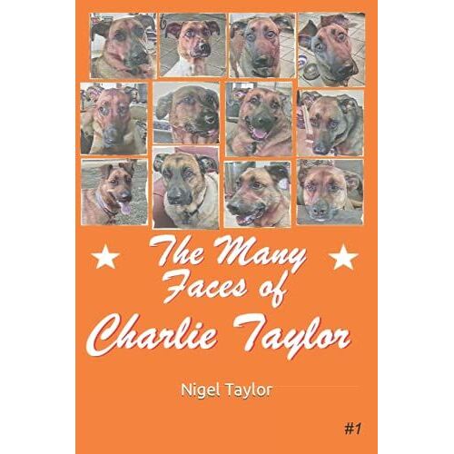 The Many Faces Of Charlie Taylor