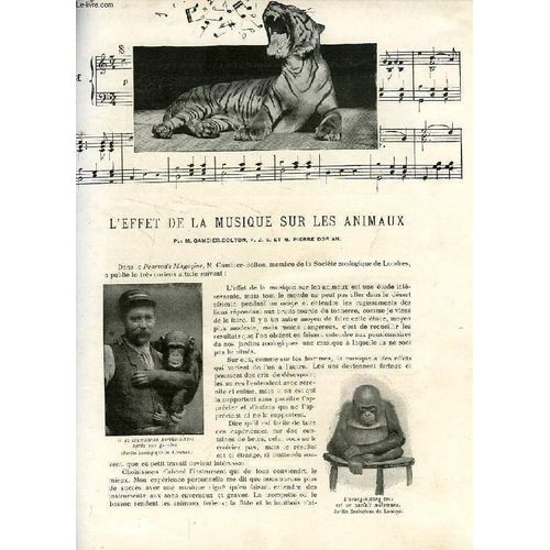 Revue De Paris (Extrait), L'effet De La Musique Sur Les Animaux / 'le Soireux'