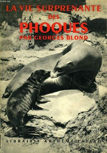 La Vie Surprenante Des Phoques